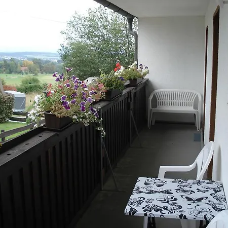 Appartement Haus Steinwaldblick à Bernlohe  Extérieur photo